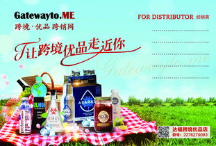 全方位设计服务与软件开发 助力企业品牌传播与数字化升级