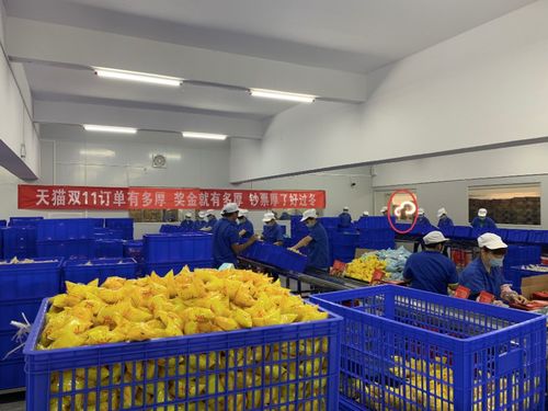 无人可挡 柳州螺蛳粉与软件开发的融合发展